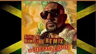 Stylo G Feat Sean Paul Spice  Dumpling Official Audio [upl. by Coonan]