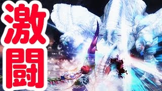 【MHFZ実況】激闘！『フルフル辿異種』【リベンジ編】【モンハンフロンティアZ】 [upl. by Elauqsap]