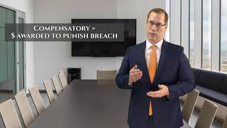 What Are Monetary Damages in a Breach of Contract Lawsuit [upl. by Leaffar]