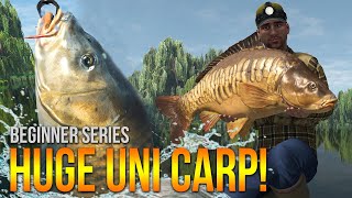 Lvl50 Weeping Willows UNIQUE Carp Method Leads amp More  Fishing Planet [upl. by Naenaj]