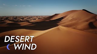 Desert Wind Sound  10 Hours  Stress Relief  Meditate  Sleep  Study  Desert Winds [upl. by Ivers]