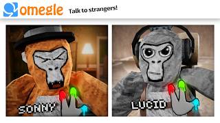 OMEGLE Trolling in Gorilla Tag [upl. by Netsreik847]