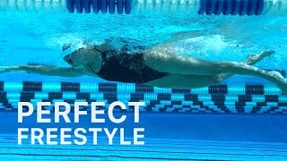 How To Swim Freestyle With Perfect Technique [upl. by Tor]