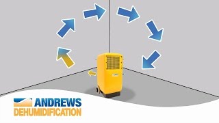 How do dehumidifiers work [upl. by Llehsar423]