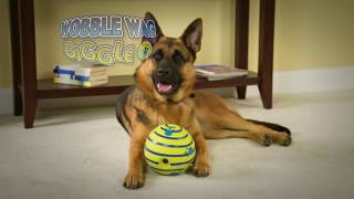 Wobble Wag Giggle Ball Pets amp Animal Care TV Commercial [upl. by Brigitta]