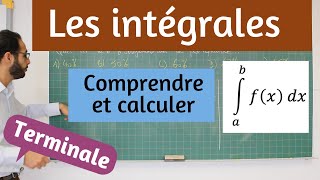 Les intégrales [upl. by Sakmar604]