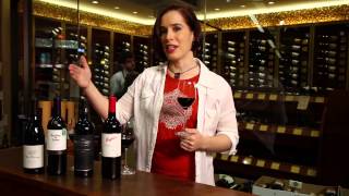 Pinot Noir Merlot Cabernet Sauvignon Shiraz Syrah  Red Wine Guide [upl. by Celia660]