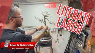 How to Make Your Own Literati Larch Bonsai [upl. by Nuahc]