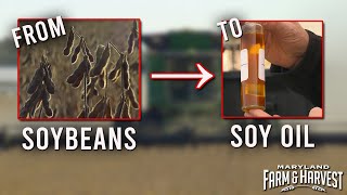 From Soybeans to Soil Oil  Maryland Farm amp Harvest [upl. by Odab]