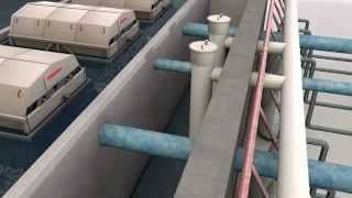 Recirculating Aquaculture Systems [upl. by Marinelli]