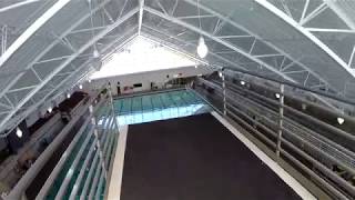 3M 5M 10M Platforms Diving Board  THPRD Aquatics Center [upl. by Suhcnip776]