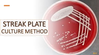 Streak plate culture method [upl. by Er]