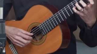 Classical Guitar Lesson 1 [upl. by Aineg]