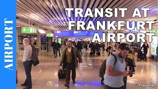 TRANSIT WALK AT FRANKFURT Airport FRA Terminal 1  Connection Flight Transfer Arriving amp Departing [upl. by Eneleuqcaj629]