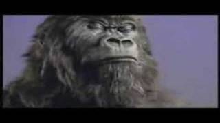 Cadbury Gorilla  In The Air Tonight Extended Mix [upl. by Andrews352]