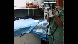 Flexible Endoscope Reprocessing  Precleaning [upl. by Ainitsirhc]