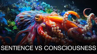 The Difference Between Consciousness and Sentience [upl. by Ojahtnamas]