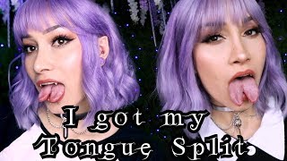 I GOT MY TONGUE SPLIT  Experience Aftercare  Scream Kiwi [upl. by Clemente64]