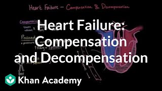 Compensation and decompensation in heart failure  NCLEXRN  Khan Academy [upl. by Vedi424]