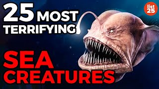 25 Most TERRIFYING Sea Creatures [upl. by Suirauqed]