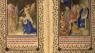 The Art of Illumination The Limbourg Brothers and the Belles Heures of Jean de France Duc de Berry [upl. by Pincus300]