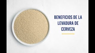 Beneficios de la levadura de cerveza [upl. by Daryle]