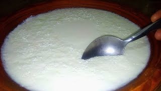 Dahi Jamane ka Sahi Tareeka Halwai jaisa  Thick or itni moti Malai wali Dahi ab jamae ghar par Curd [upl. by Maren277]