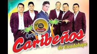 MIX CARIBEÑOS DE GUADALUPE  RECORDANDO SUS ÉXITOS DE ORO  Danielito HD VIDEOS [upl. by Guglielma547]