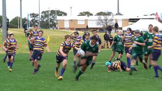 Roman Leilua try U13 Randwick Rugby [upl. by Stoat]