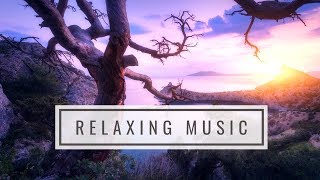 Relaxing Music Manifesting Happiness Harmony amp Inner Peace  Dissolve Negative Thoughts amp Emotions [upl. by Essie]