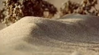 How to Make a Sand Dune  Dune  BBC Studios [upl. by Androw]