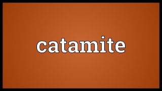 Catamite Meaning [upl. by Edwine]