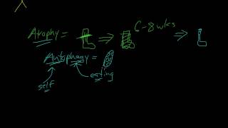 3  Introduction to Pathology  Atrophy Metaplasia [upl. by Lanti]