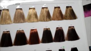 Learn hair tones and neutralising colours with the colour star theory [upl. by Jeritah39]