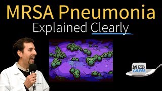 MRSA Pneumonia Explained Clearly by MedCramcom  Part 1 [upl. by Trepur]