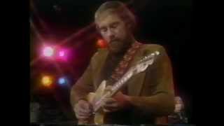 roy buchanan  live  blues [upl. by Anilegna]